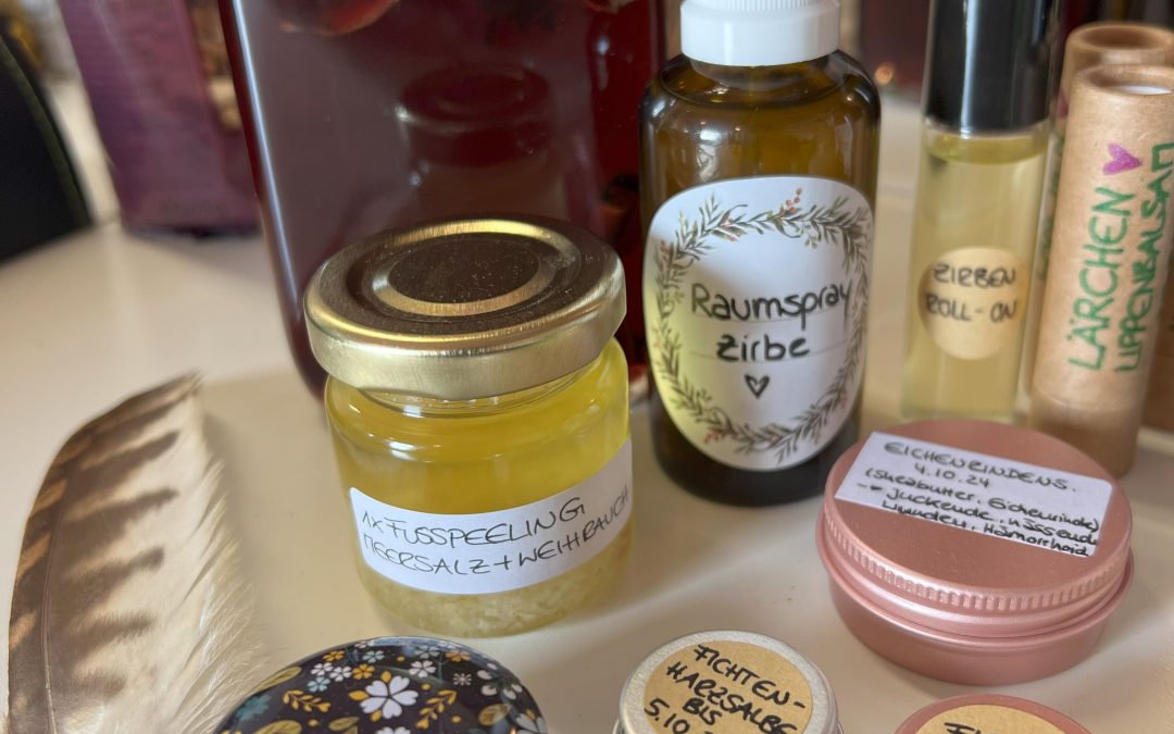 Waldapotheke – Die Heilpflanzen des Waldes