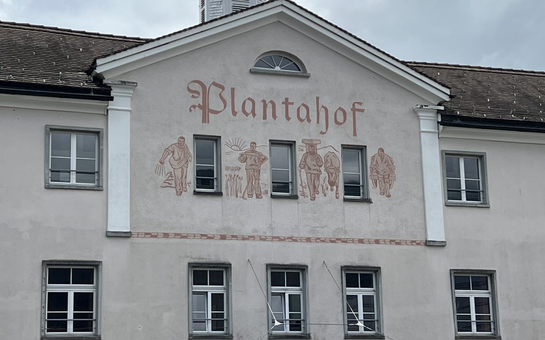 Modulare Wildkräuterausbildung im Jahreszyklus